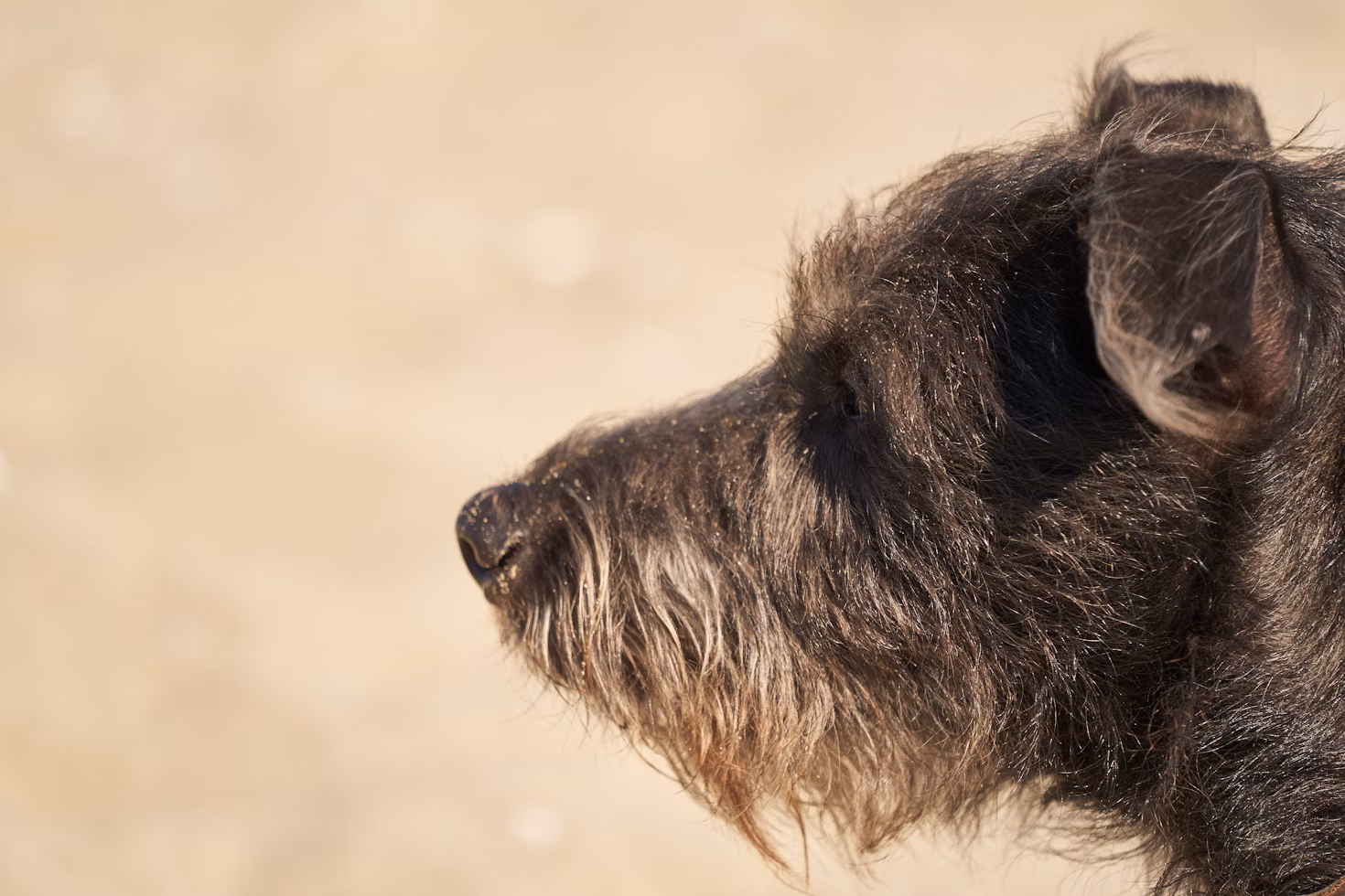 Codifying the SDLC with in-toto
